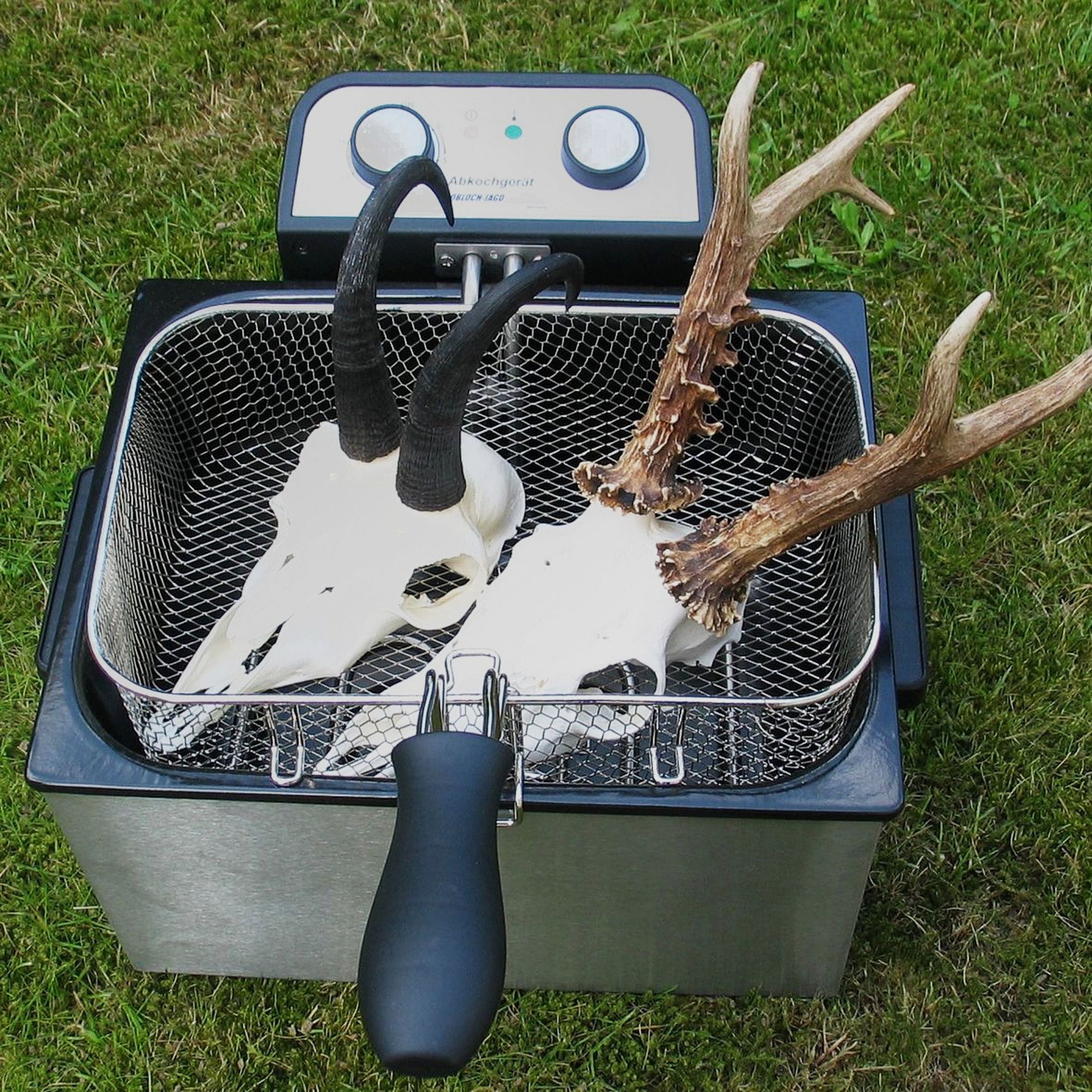 Knobloch Trophäenabkochgerät für Reh und Gams