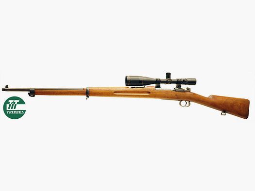 Diverse Mod. M96
