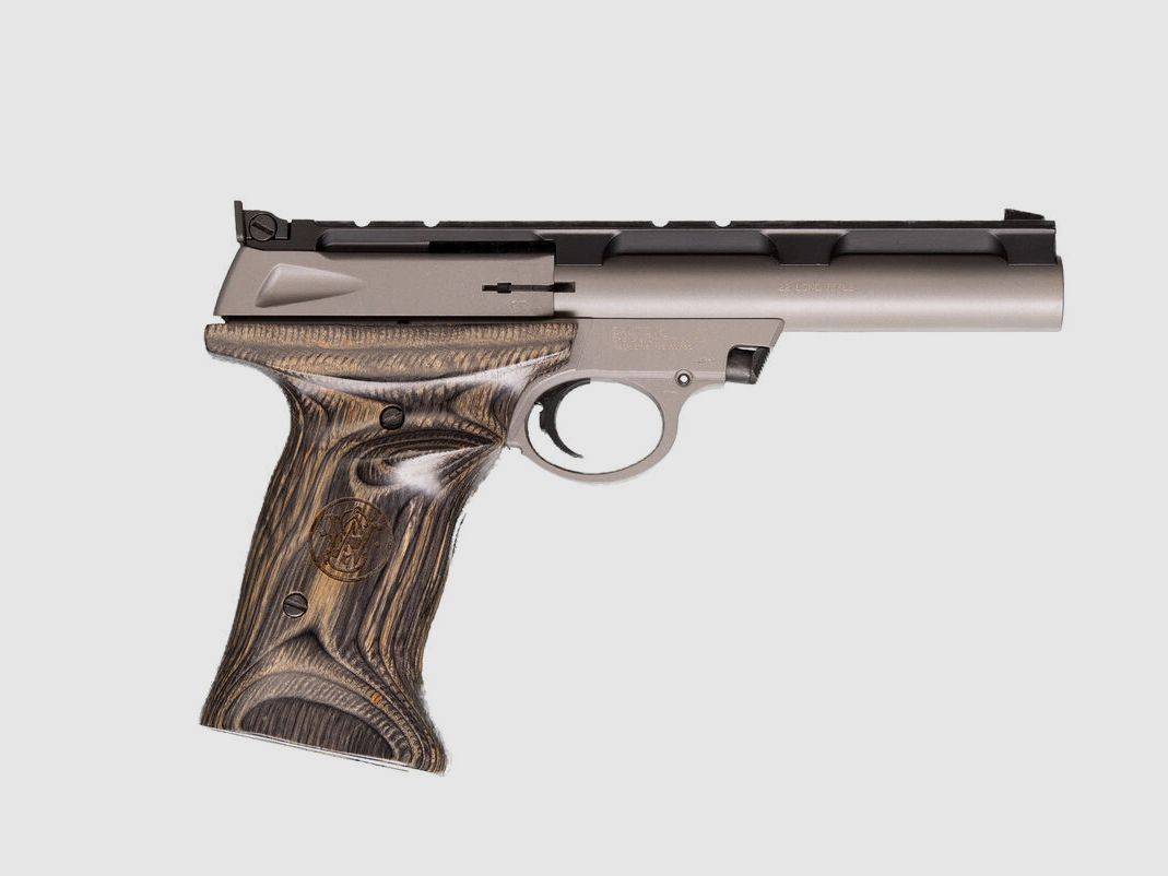 S&W 22 S