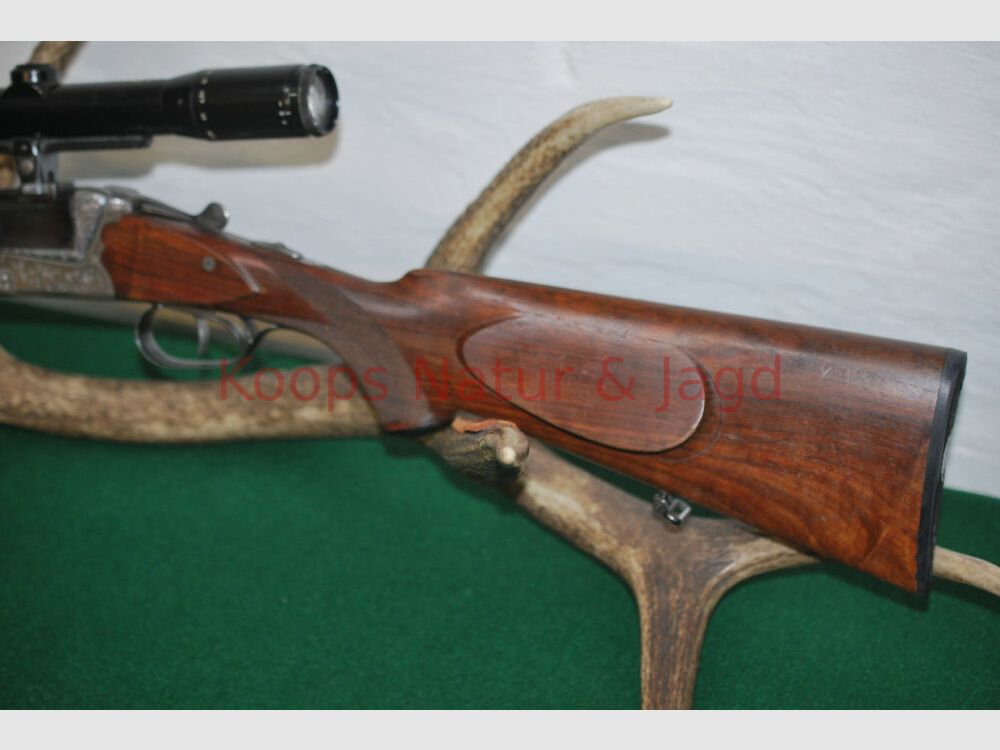 Sauer & Sohn 54