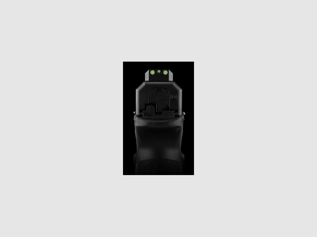 HS SPRINGFIELD ARMORY ECHELON 9X19, Bild 4 von 5