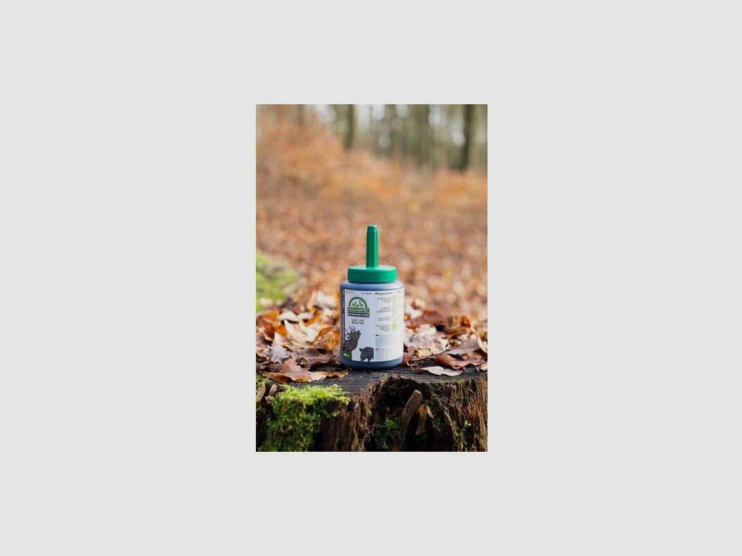 Buchenholzteer mit Pinsel 500ml