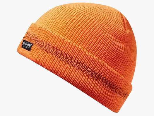 Thinsulate knitted hat