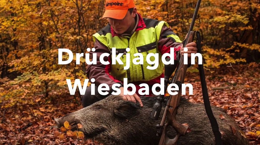 Drückjagd in Wiesbaden