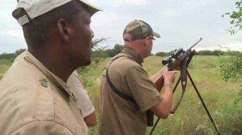 Buffalo Hunt in South Africa