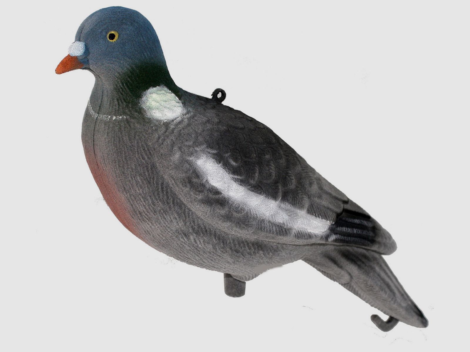 Beflockter Lockvogel Taube