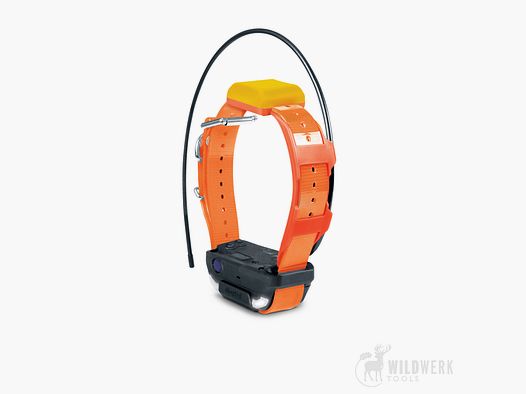 Collar Dogtra Pathfinder2 TRX