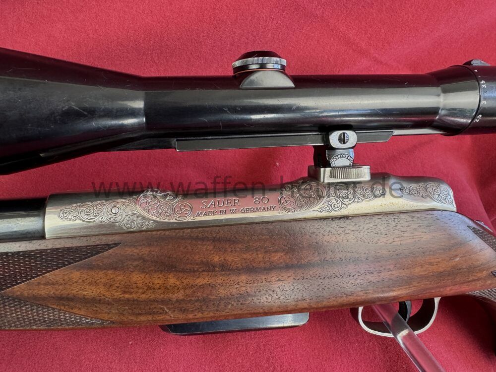 Sauer Luxus Stutzen
