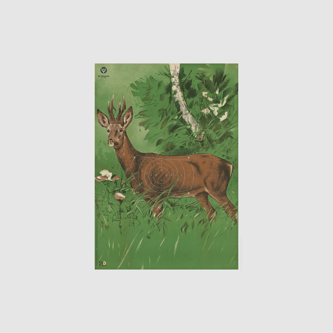 DJV Bersaglio Selvatico Nr. 1 (Capriolo, 100m)