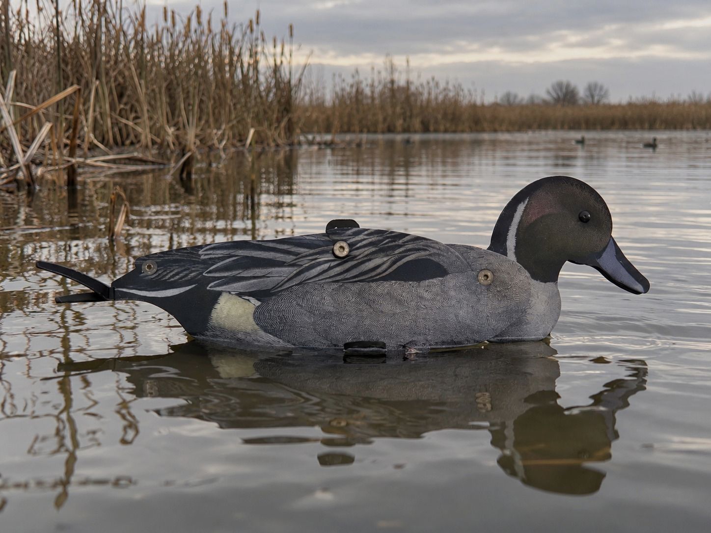 NRA FUD Northern Shoveler 6 sztuk + GOLD-RACE 7,5 ml - Lotto, zdjęcie 1 z 9