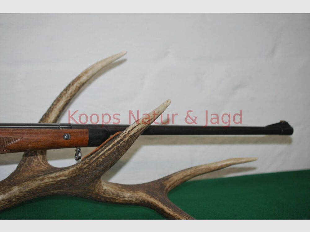 Steyr Mannlicher GK