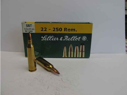 REMINGTON 22-250