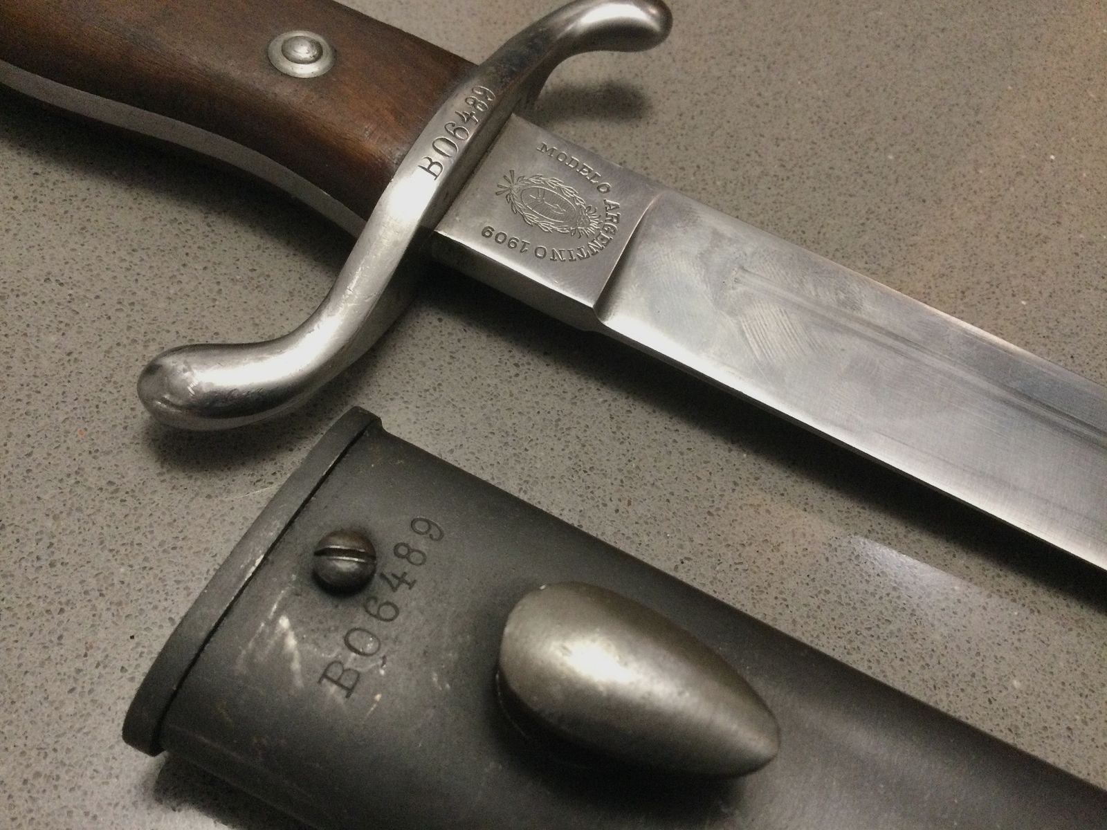 Bayonet, 1909, Modelo Argentino, nummerngleich, Stahlscheide