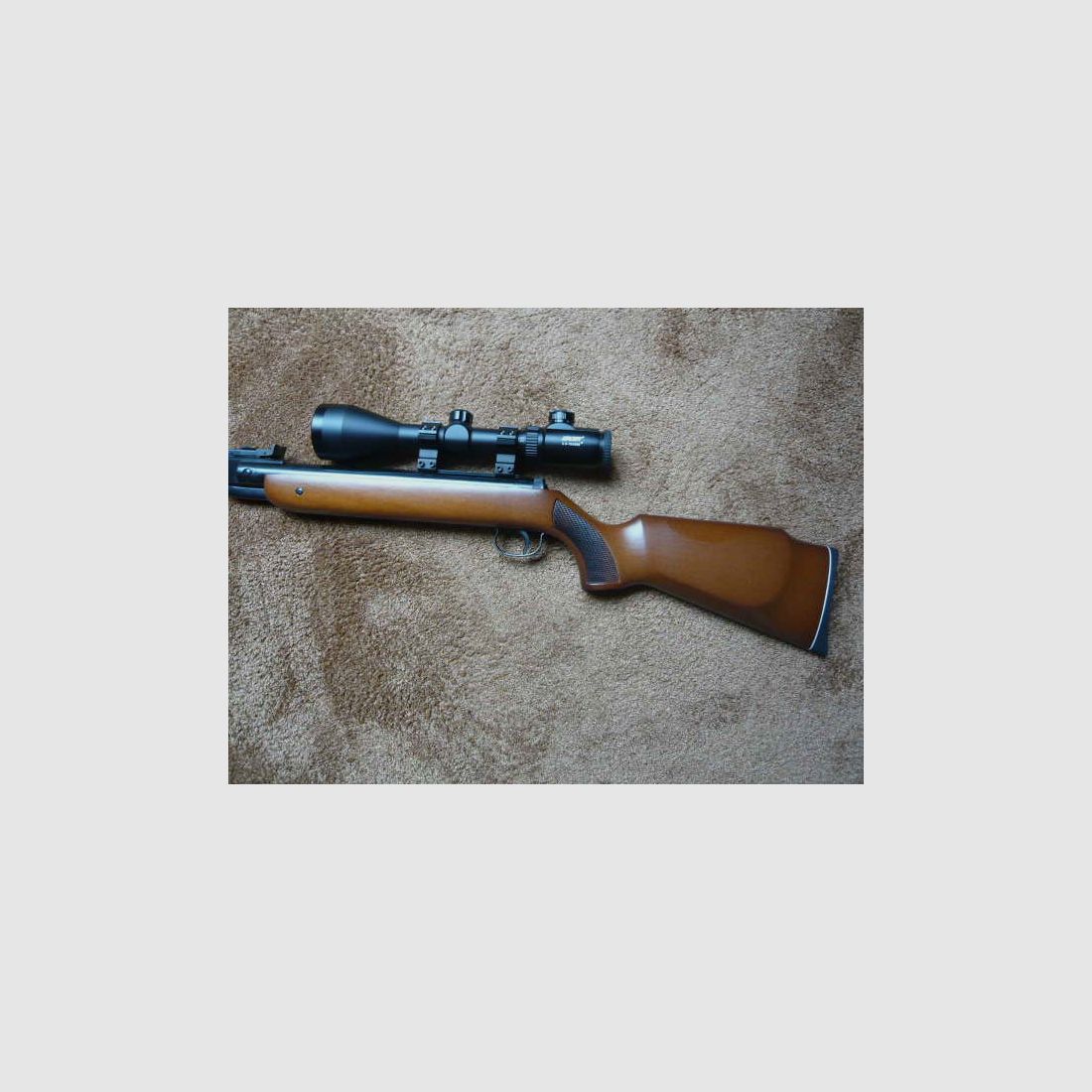 Fusil à air DIANA Mod.35 m.ZFR LEADER 2,5-10X56E