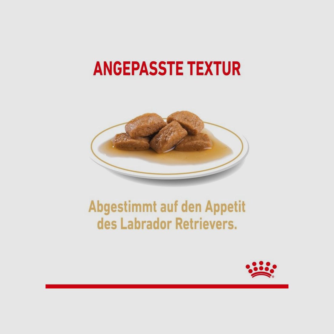 ROYAL CANIN Labrador Retriever Nassfutter Adult Stückchen in Soße 10x140 g