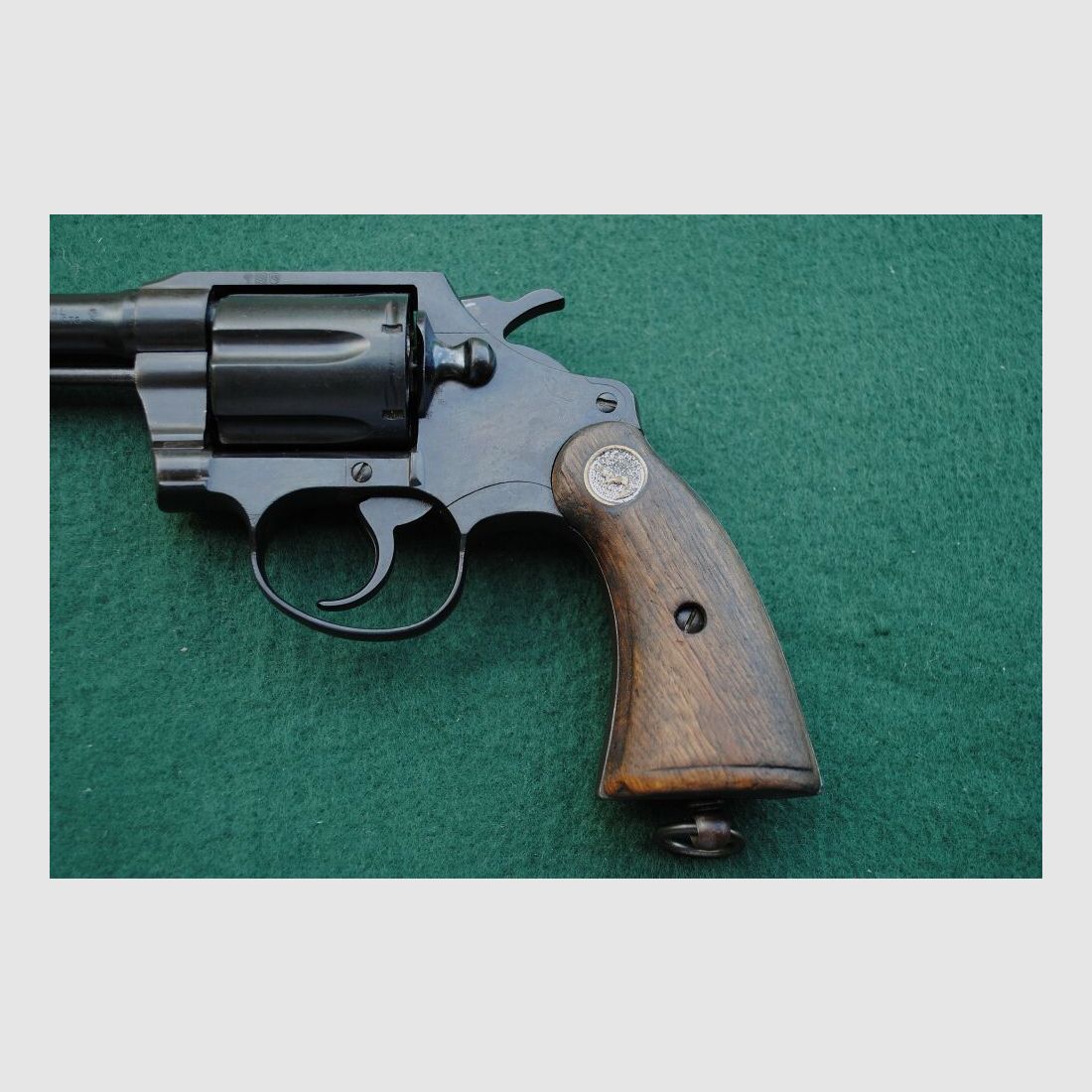 Colt Police Positive Special, Royal Hong Kong Police