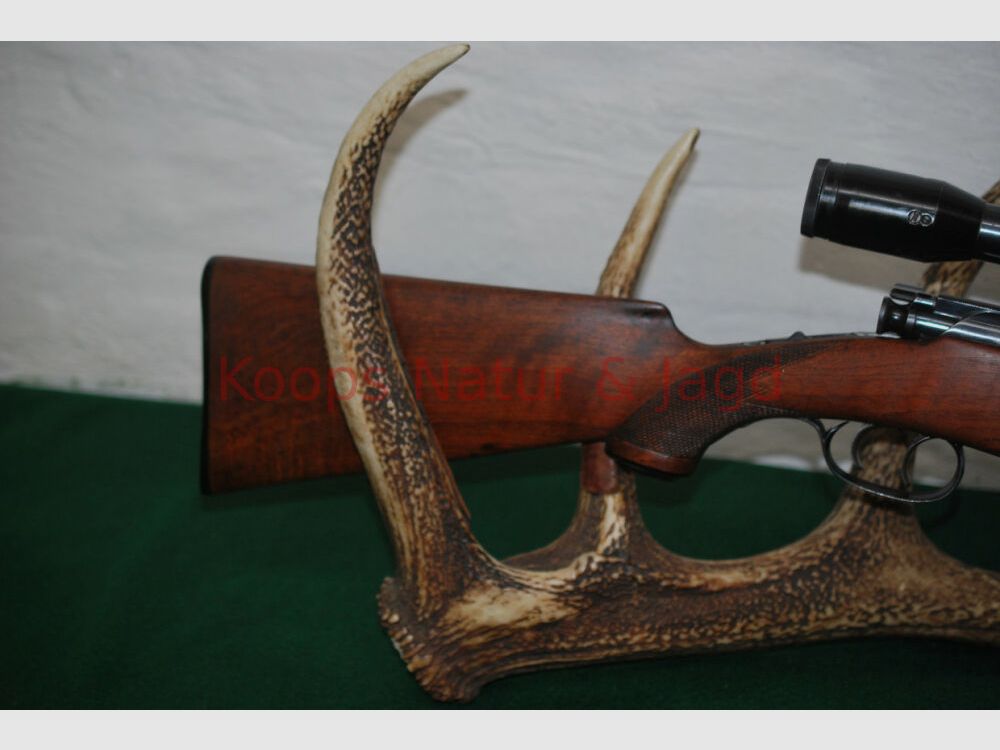 Steyr Mannlicher Schoenauer GK