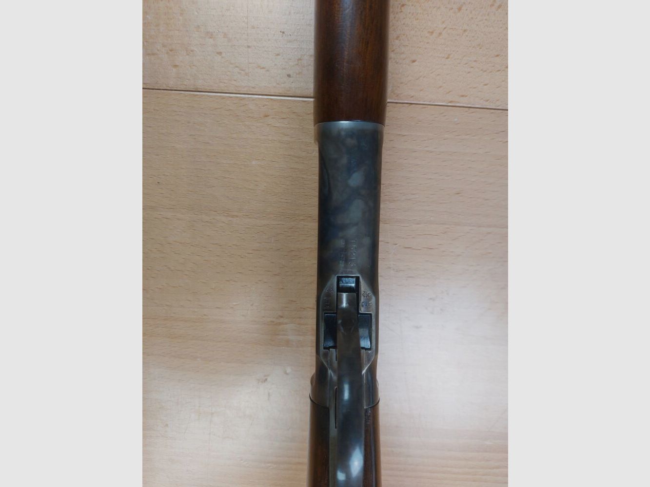 Chiappa M 1892