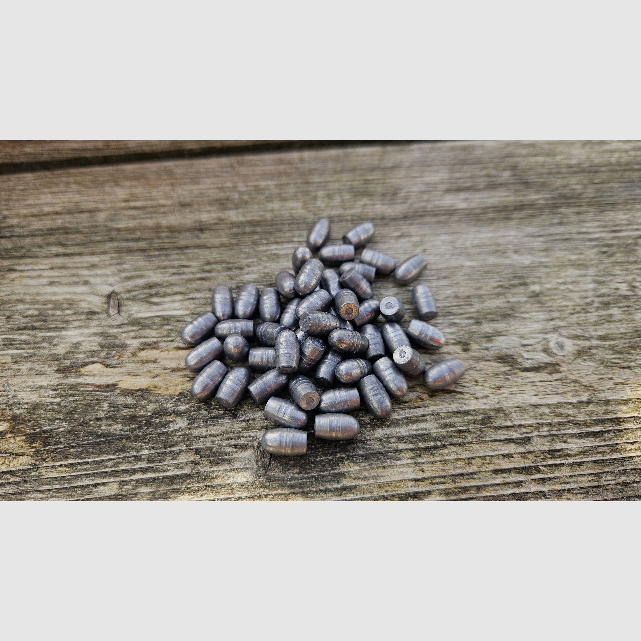 .22 Slugs für Huben GK1 / K1 - Für Kleinere Streukreise - 2,02g