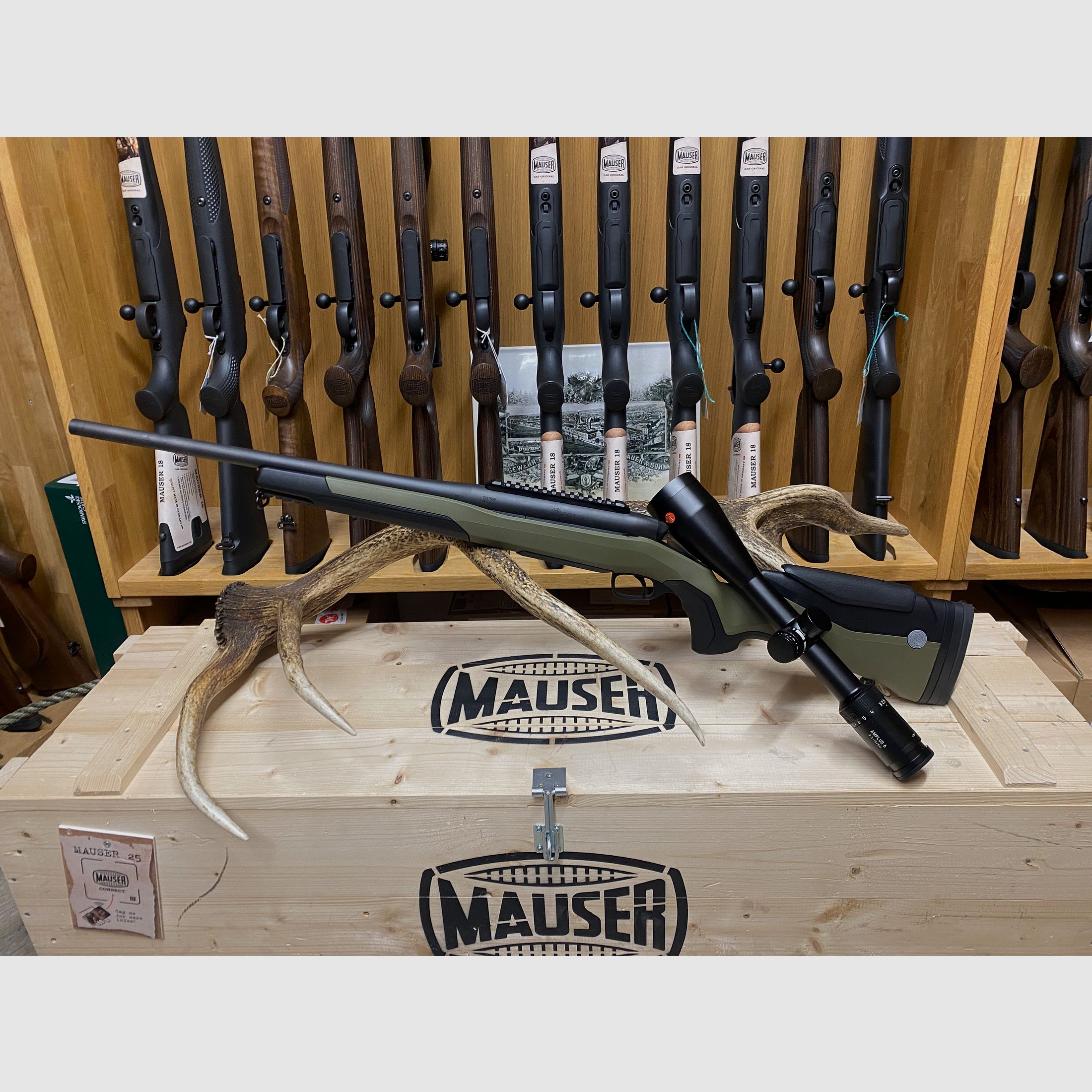Steyr Mannlicher MS Wild, mit Leica Amplus 6 2,5-10x56 i, ohne Schiene