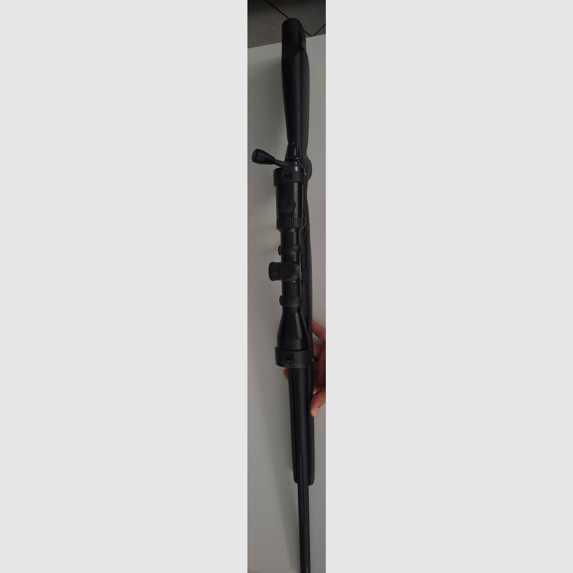 Bergara 
