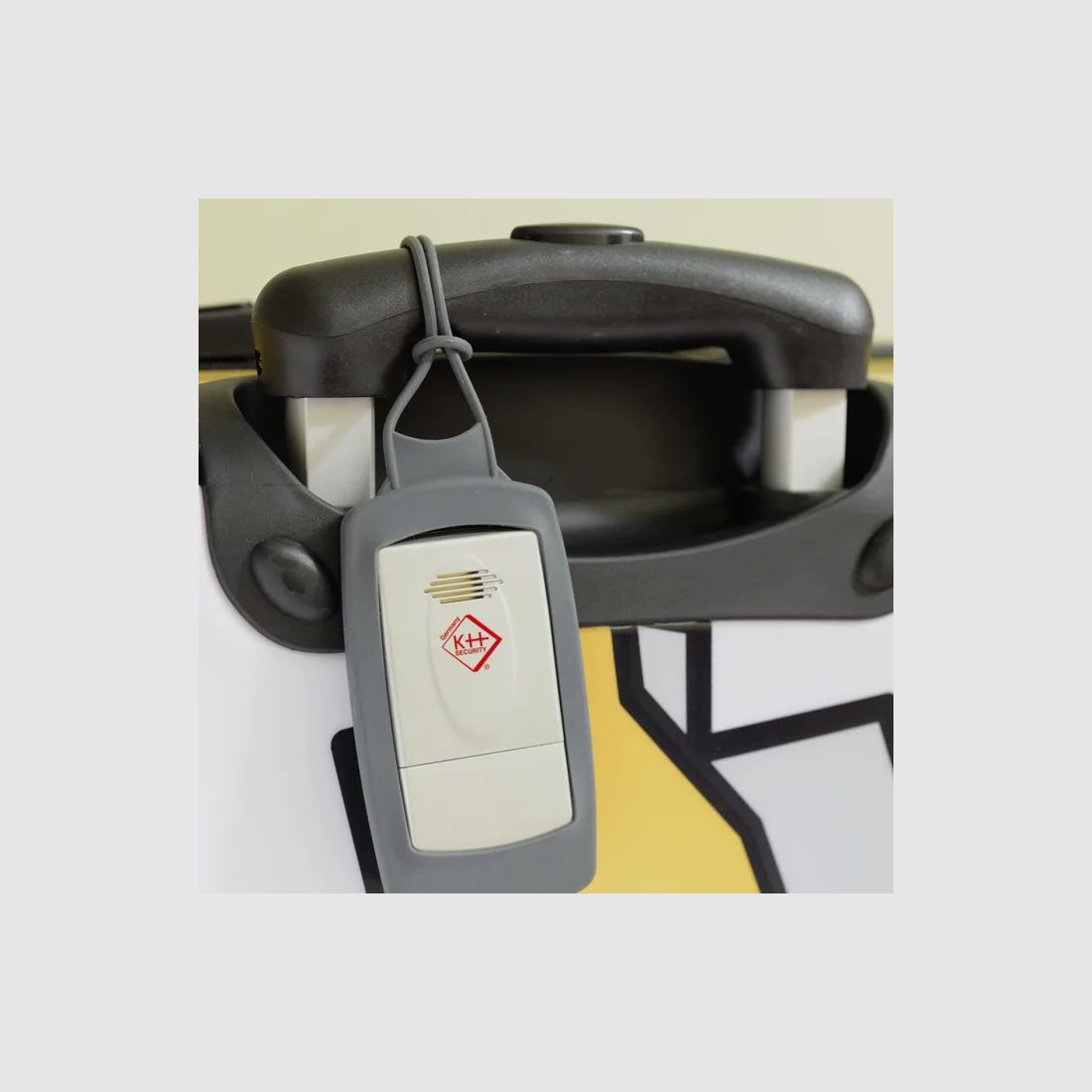 Alarm Travel Tag