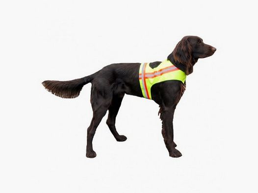 Honden veiligheidsvest Large