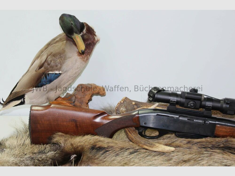 Remington Mod. 750 Halbautomat - Damenwaffe .308Win