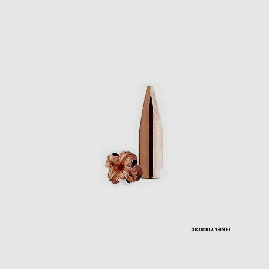 BARNES – BULLETS – X-BULLET 30 CAL. 308″ 180 GR FLAT BASE (50 PCS) -30835