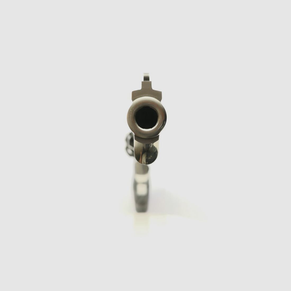 Taurus 44