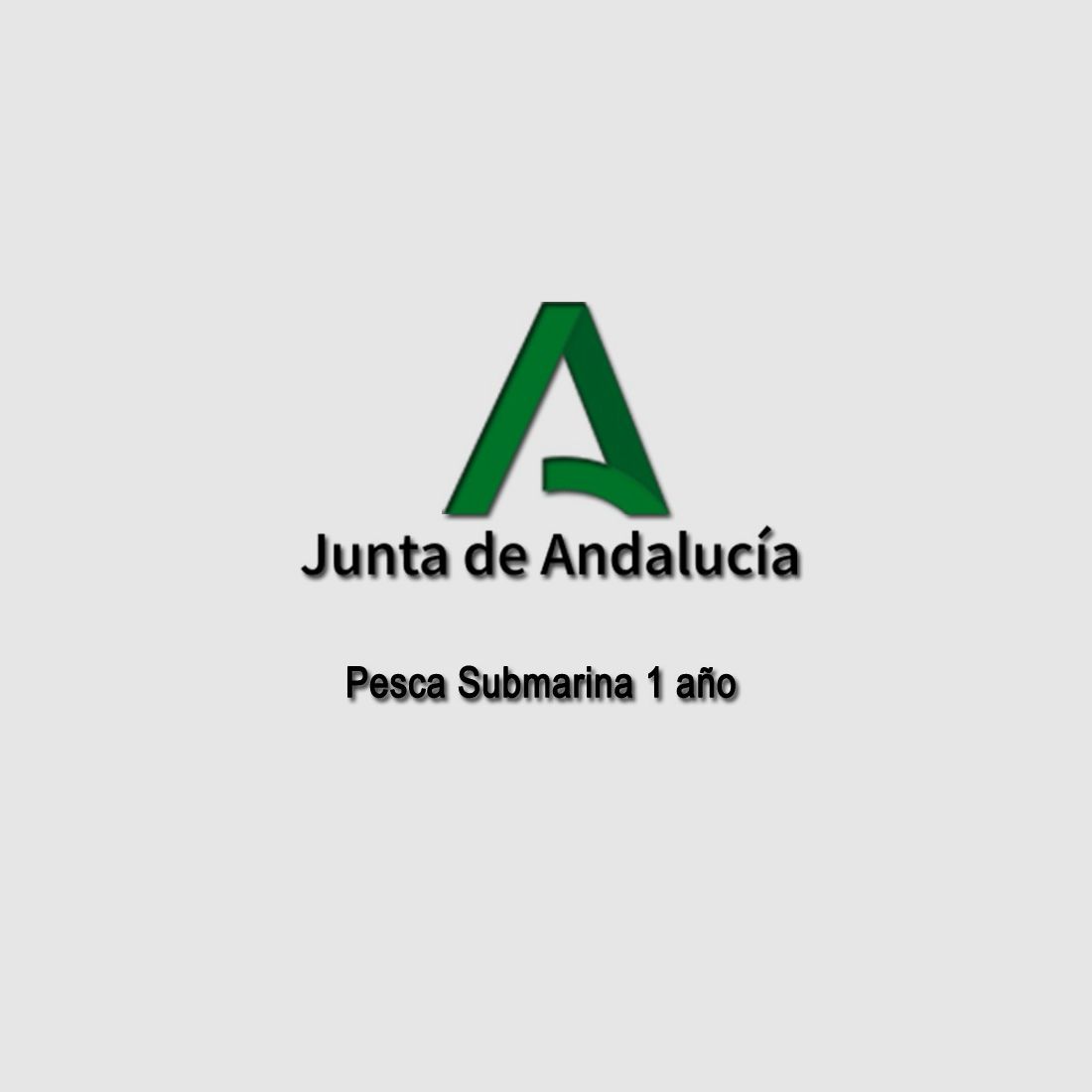 ONDERWATER VISSEN LICENTIE 1 JAAR ANDALUSIË MET VERANTWOORDELIJKE VERKLARING