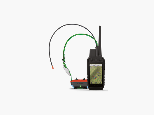 GPS Collar Garmin Pack Alpha 300F + Collar TT 25F