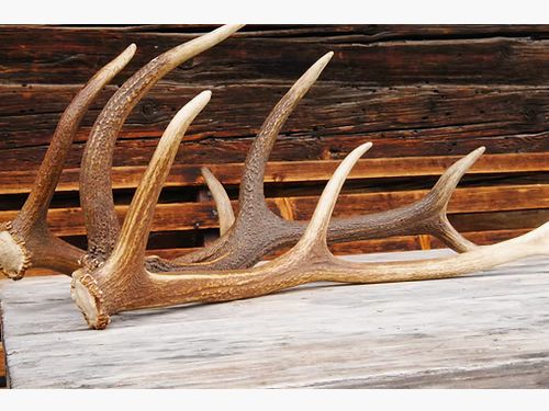 Service performance assembly & zeroing 100m spot foreign scope