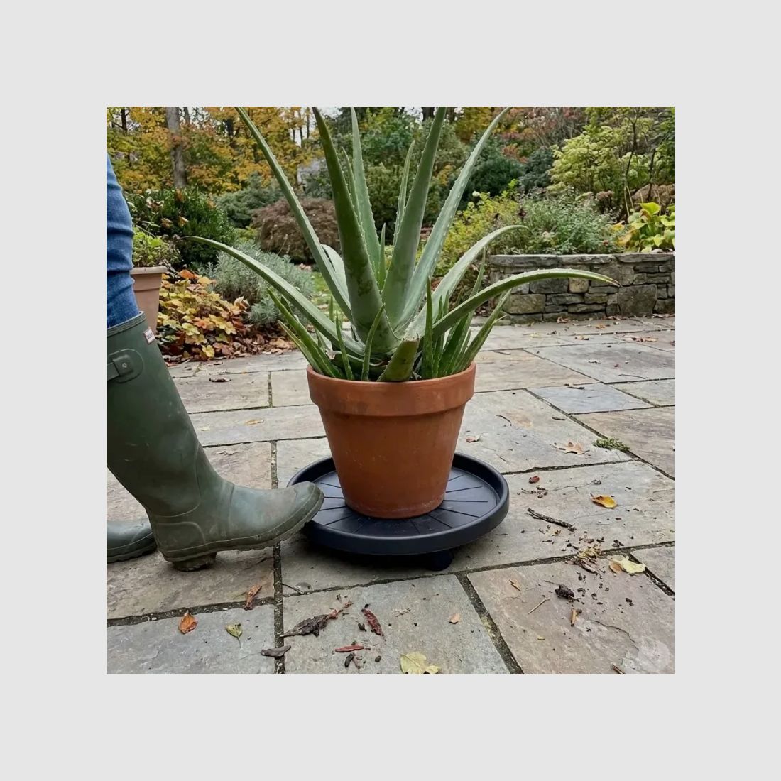 Pflanzenstütze mit Rollen 30 cm, Bild 7 von 11
