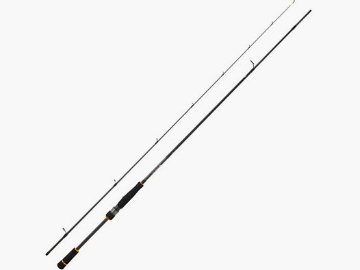 DAIWA BG RF 2.51M