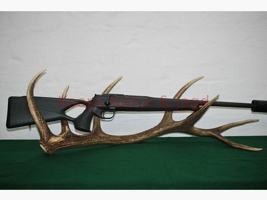 Blaser R8 Professional Success