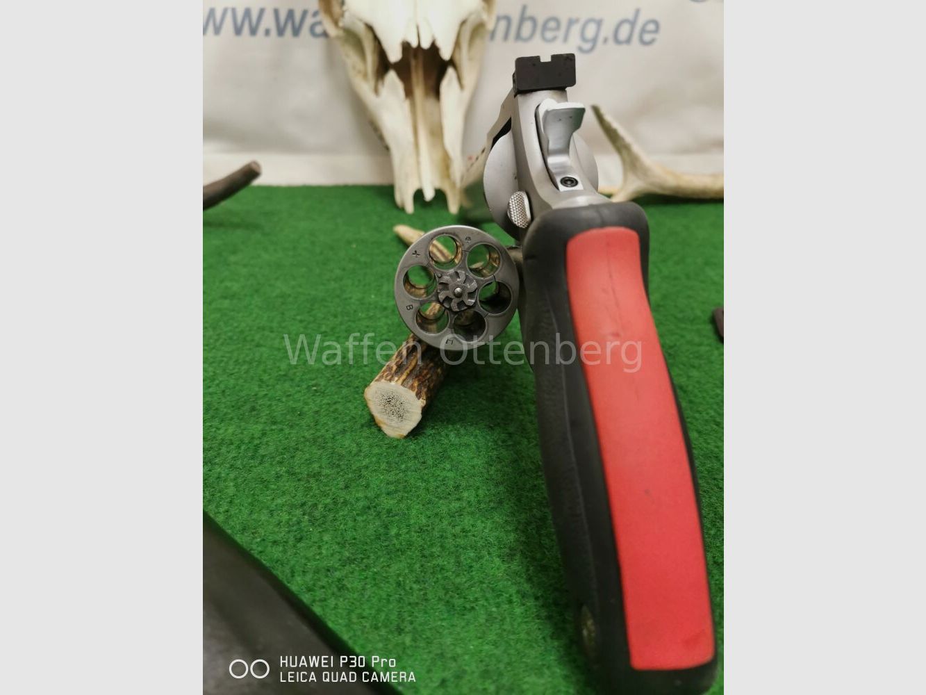 Taurus Raging Bull