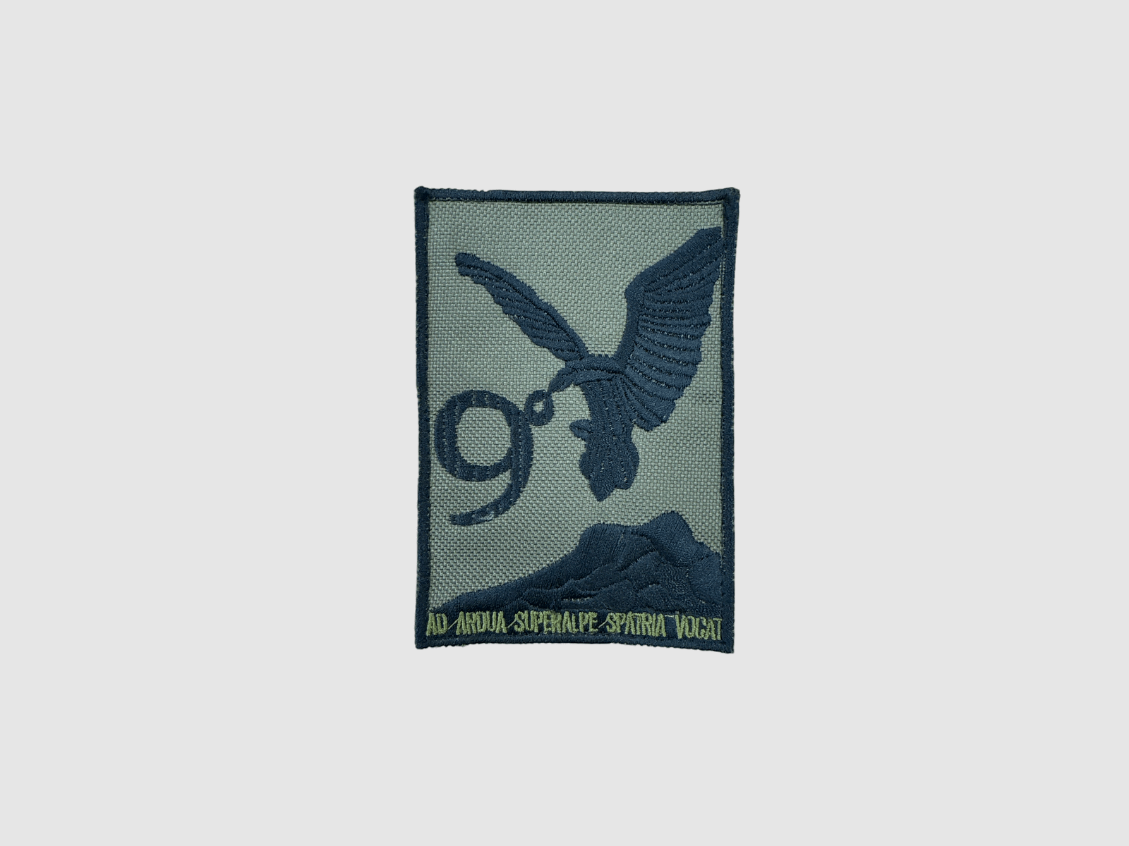 ESERCITO – PATCH 9. REGIMENT ALPEJSKIEGO „AD ARDUA SUPERALPE SPATRIA VOCAT“