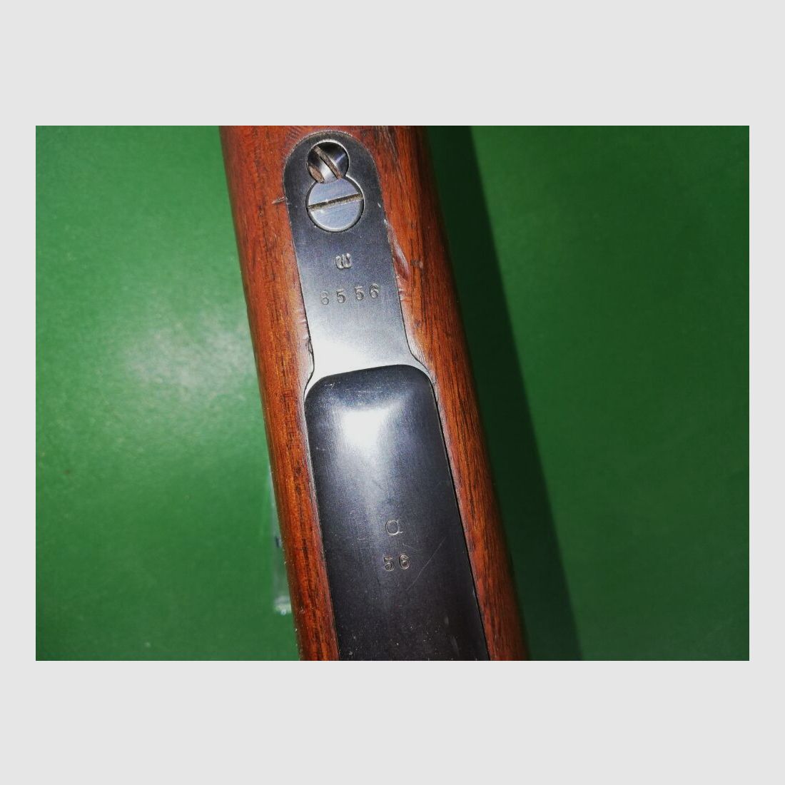 Brasilienmauser 1908