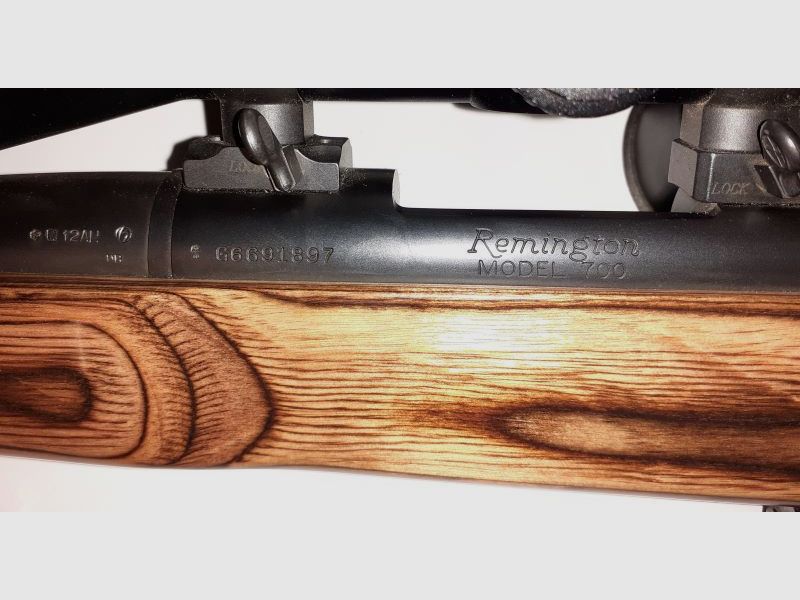 Remington 700 / .223