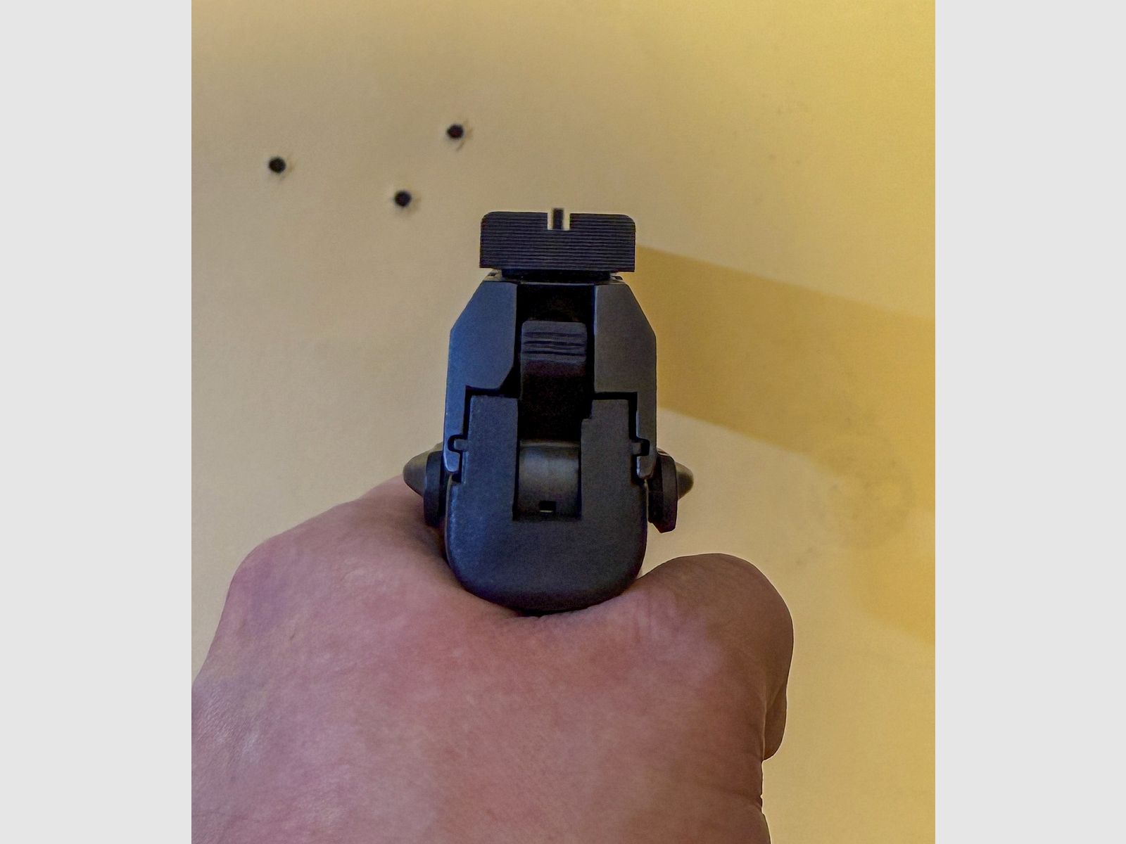 Heckler & Koch USP Expert