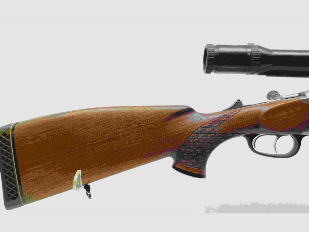 Blaser 700/88 - BBF mit Diavari-ZM 2,5-10x48 T* Zielfernrohr