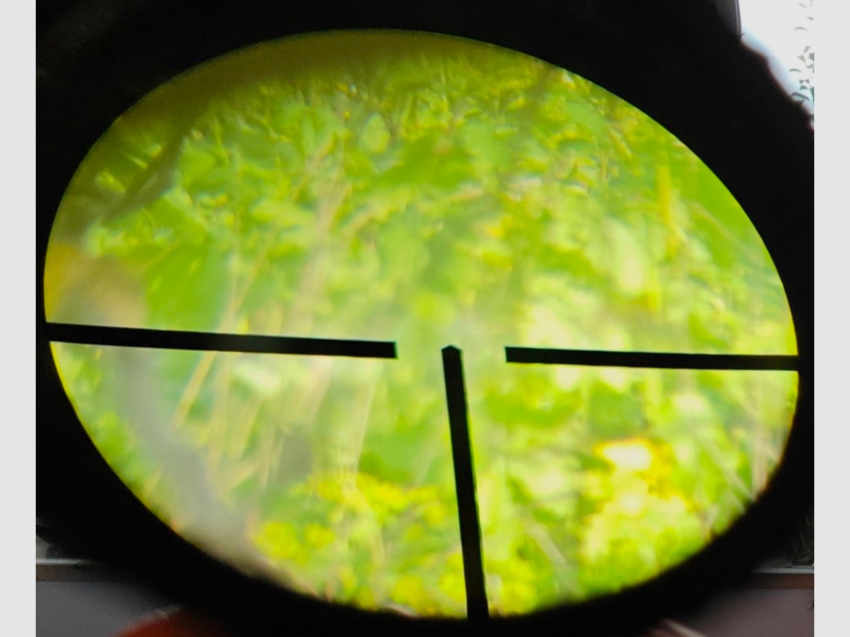 Remington 700 .30-06, Zeiss 8x56