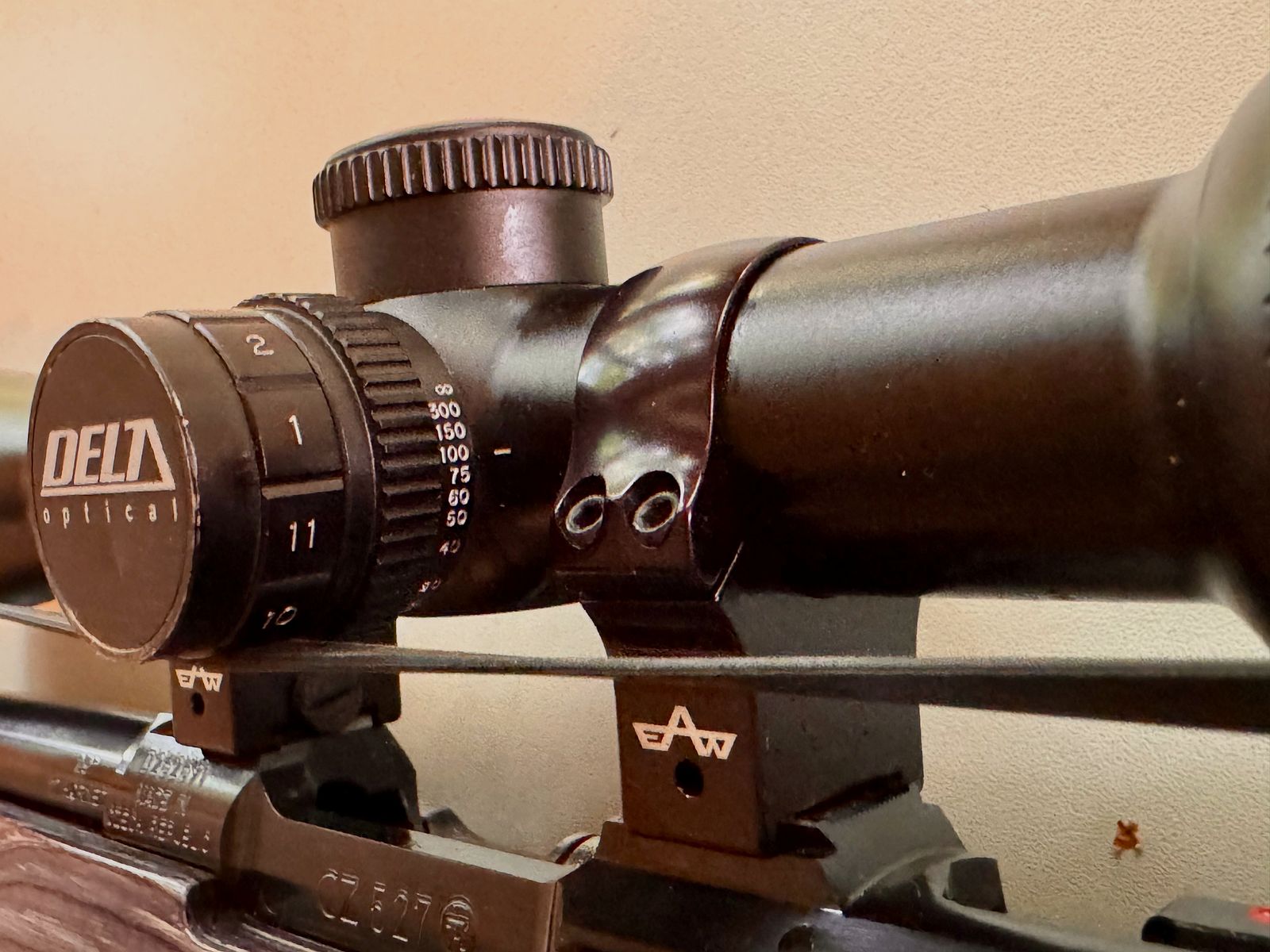 CZ 527 Thumbhole .17 HORNET mit Hausken SD & Delta Titanium HD – Raubwild-Profi