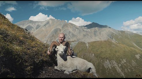 Dall Sheep Hunting with Nahanni Butte Outfitters: The Last Hunt