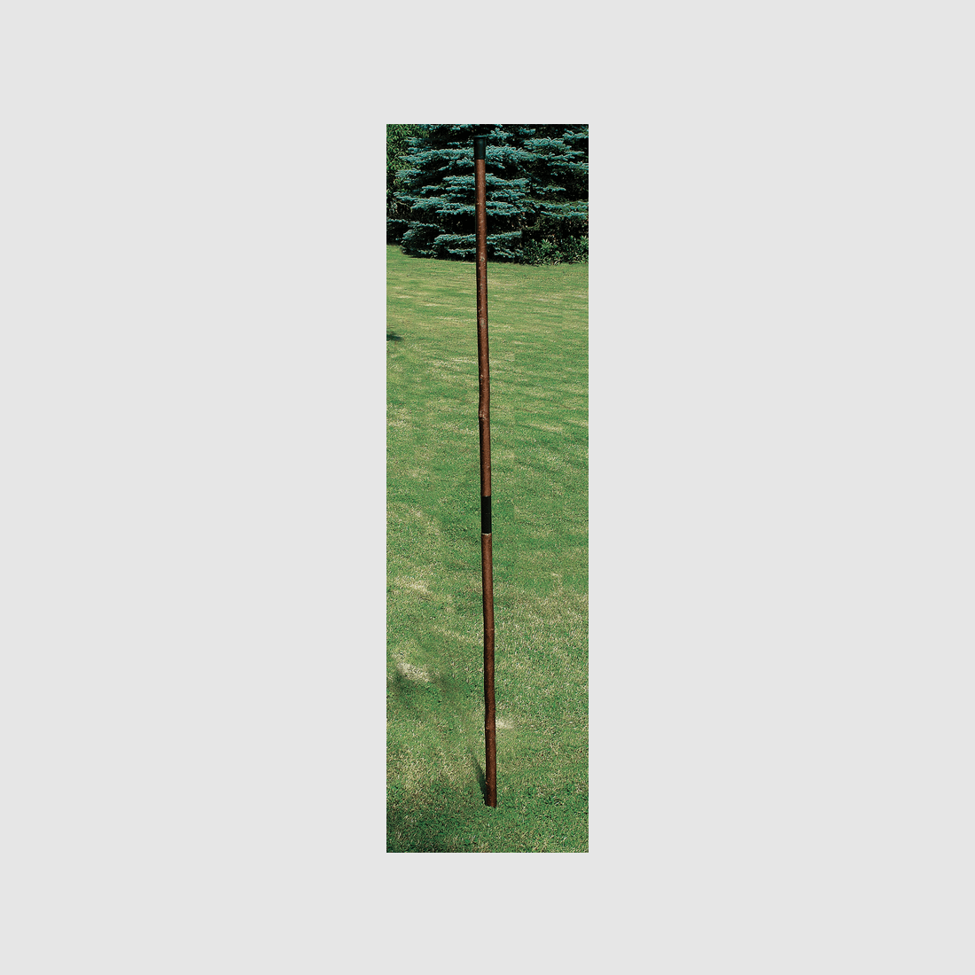Mountain and target pole