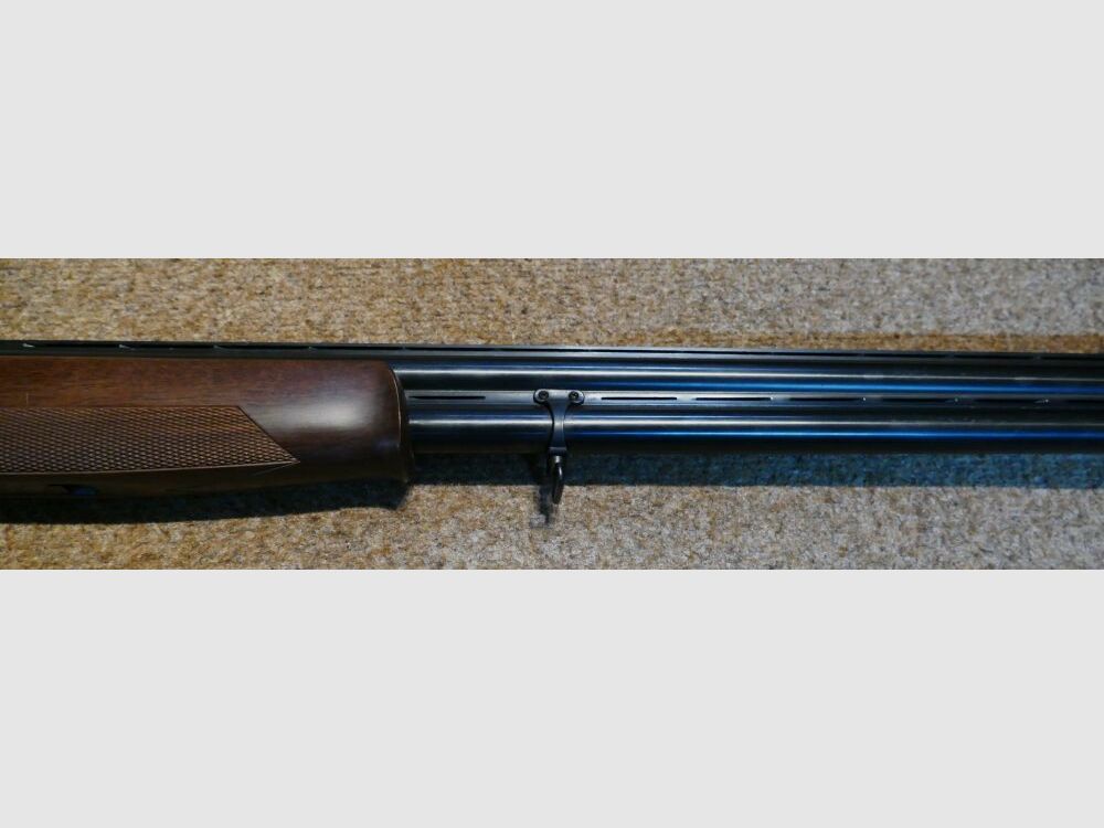 Rizzini Albion