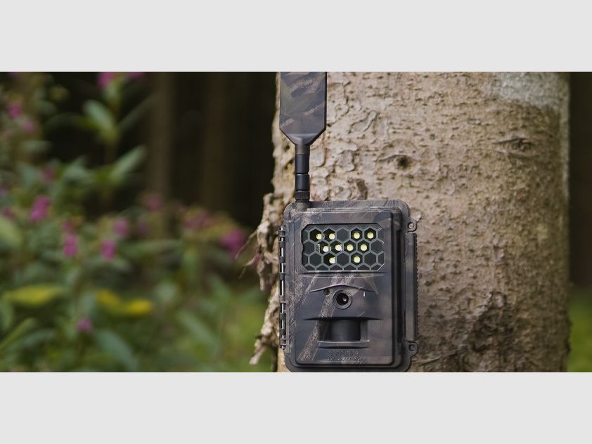 SEISSIGER Special-Cam LTE "Weißblitz" - SUPERSIM-Edition inkl. Akkus