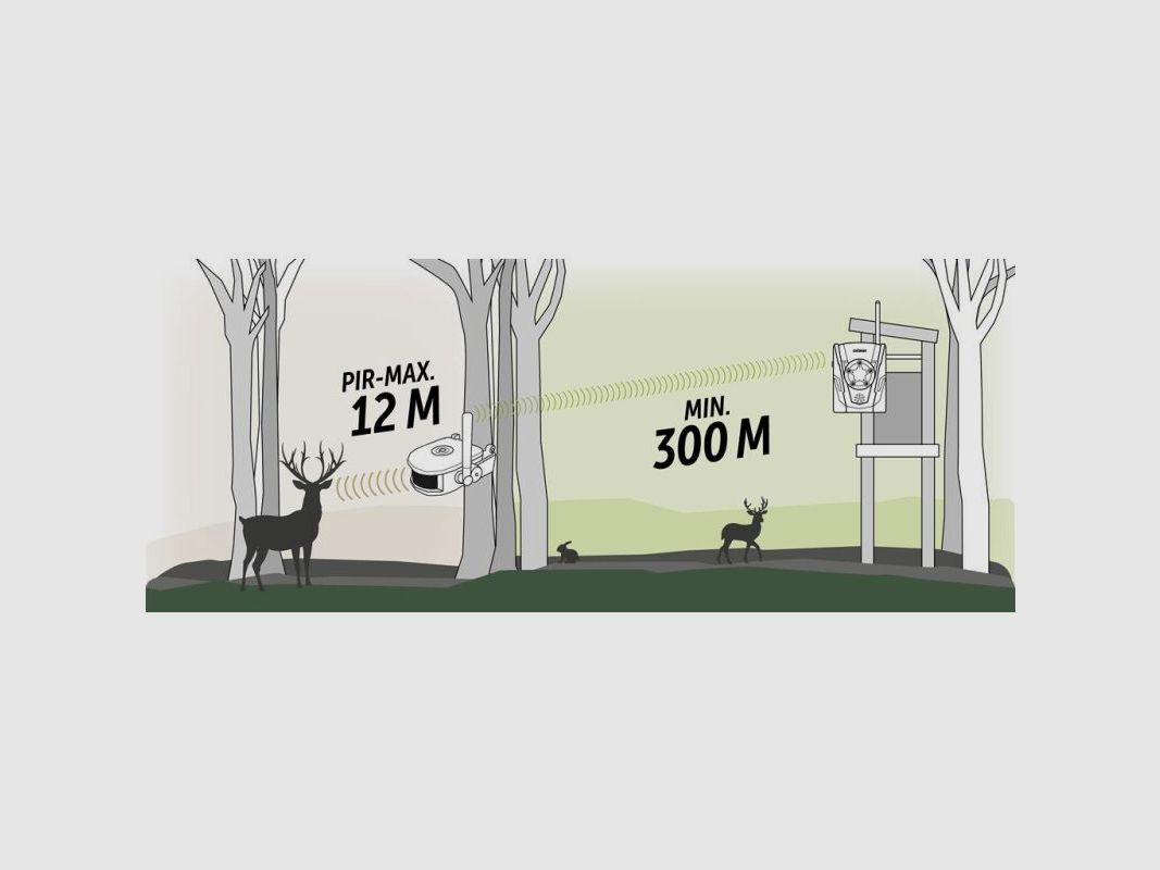 Dörr Funk-Wildbewegungsmelder Set HA-300 camouflage