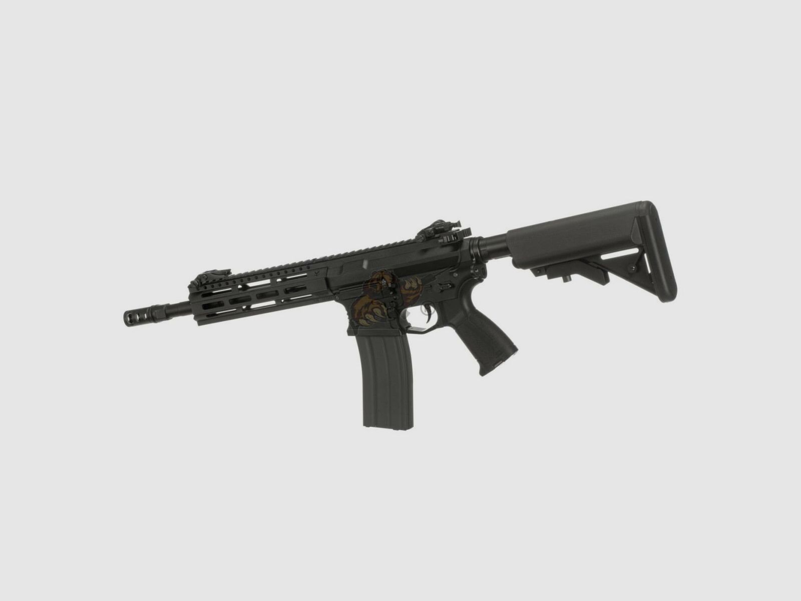 G&G CM16 Raider 2.0 Nero Airsoft S-AEG libero da 18